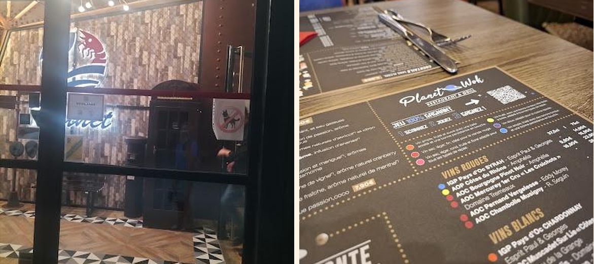 Planet Wok - Gallery Image 3